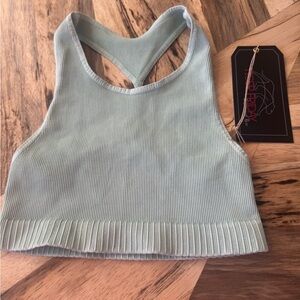 Tiger Friday- Slick Back Crop - Spearmint Ribbed Mint Green Crop Top